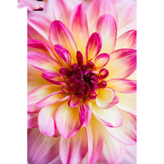 Art 5D Diy Diamond Painting  Diamond Pictures